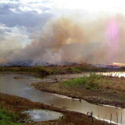 Precision Drone Services - Environmental 2